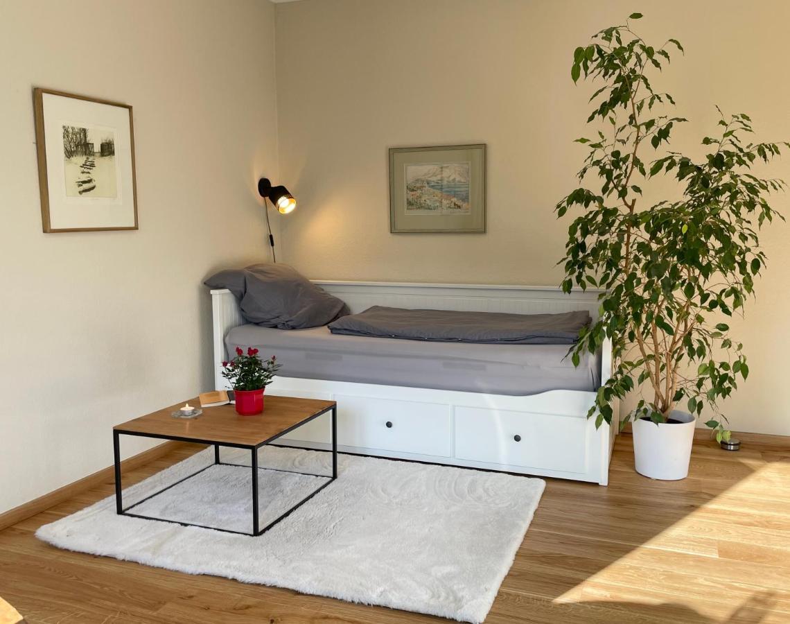 Zentrumsnahe Leipzig-Apartments, Nahe Ufz Und Bmw Inkl Parkplatz Und Fahrraeder Εξωτερικό φωτογραφία